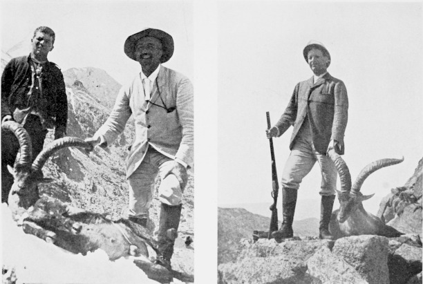 Two Spanish Ibex shot in Sierra de Grédos, July, 1910.  MARQUÉS DE VILLAVICIOSA DE ASTEREAS. MARQUÉS DE VIANA. Two Spanish Ibex Shot in Sierra de Grédos, July, 1910.