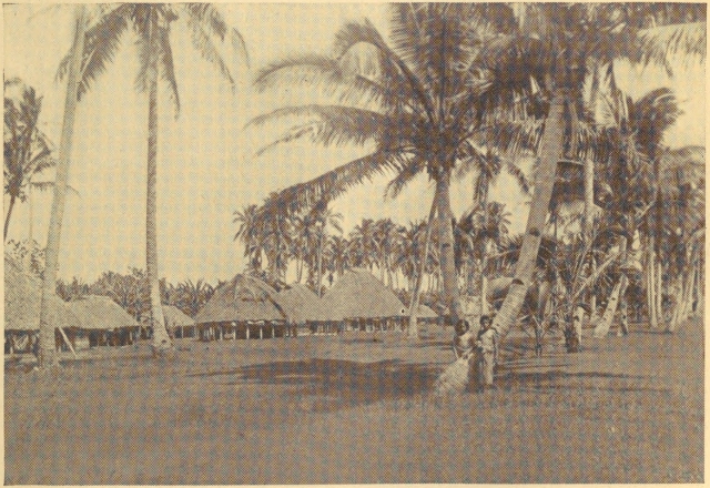 I THOUGHT THE VILLAGE BACK OF APIA, SAMOA, WAS DESERTED, BUT IT WAS ONLY THE NOON HOUR