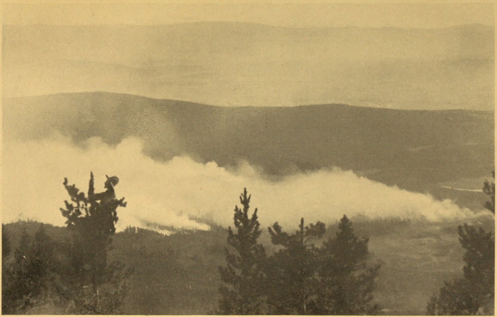 A FOREST FIRE ON THE GRAND RIVER