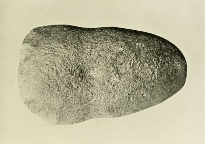 INDIAN STONE AXE.