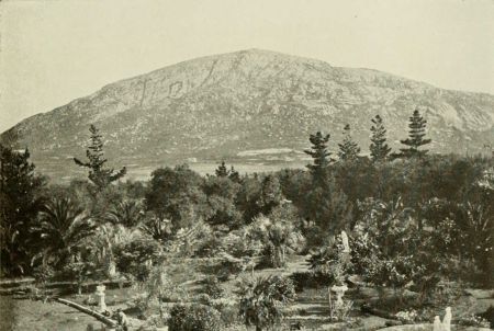 PAN DE AZUCAR MOUNTAIN.