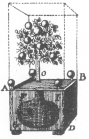 Diagram of the orange-tree trick, from Wiegleb’s “The Natural Magic,” published in 1794.