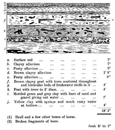 Section seen in pit dug for material for making up the roadway