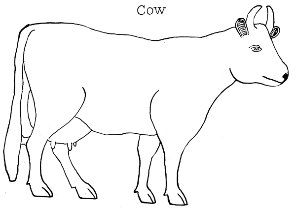 Cow