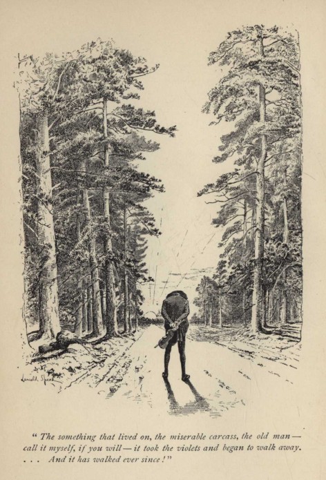 "The something that lived on, the miserable carcass, the old man—call it myself, if you will—it took the violets and began to walk away.... And it has walked ever since!"