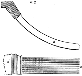 Comb