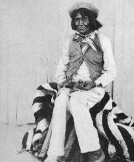 A Wallapai, making a Meal on the Fruit of the Tuna, or Prickly Pear.