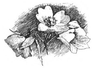 0097m