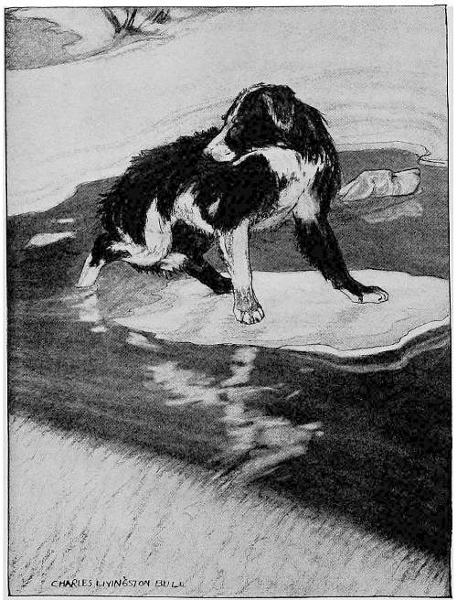 “IT SLIPPED SWIFTLY OFF WITH ITS EXHAUSTED PASSENGER.”