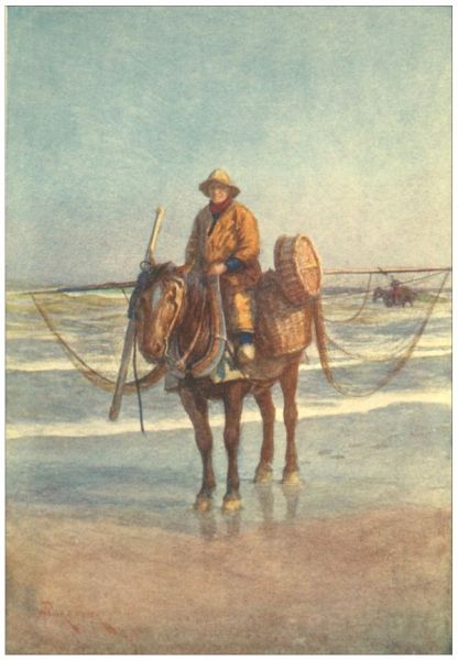 COXYDE— A Shrimper on Horseback.