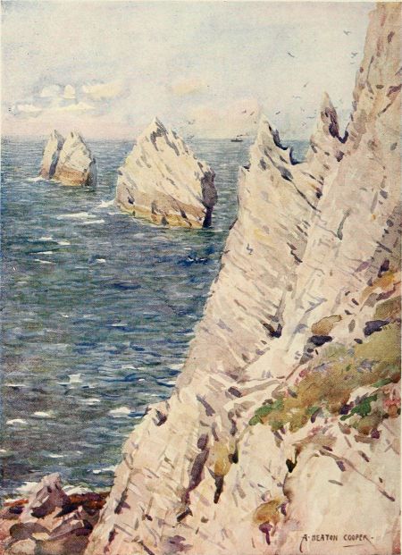 THE NEEDLES