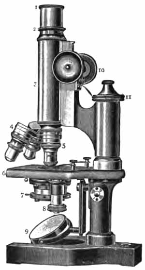 The microscope