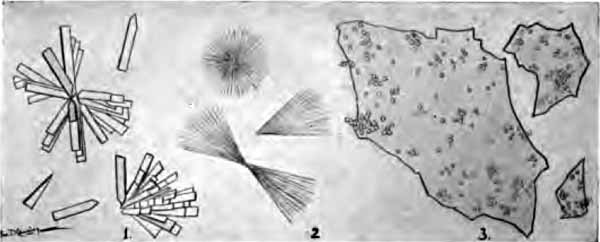 Crystals of calcium phosphate