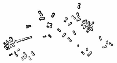 Indistinct crystalline sediment of calcium carbonate