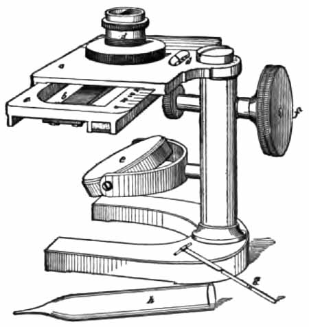 Von Fleischl's hemoglobinometer