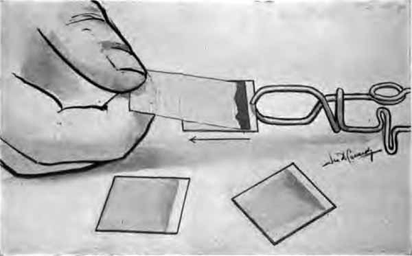 Spreading the film. Cigarette-paper method