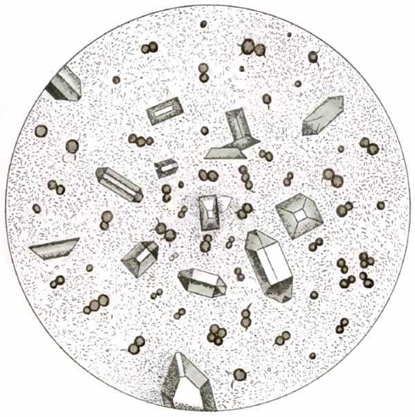 Sediment of alkaline fermentation