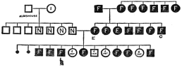 Chart II B.