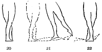 Image not available: 20 21 22  “Glissade.”  The essential gliding feature of the step is indicated in the movement of the left foot along the floor, figure 21.