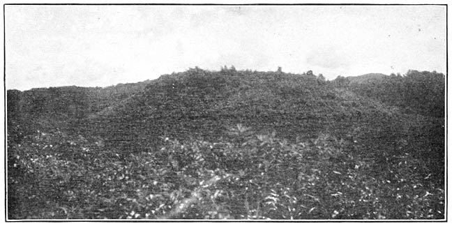 Indian Mound, Franklin, N. C.