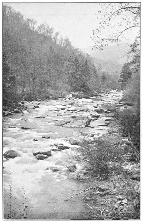 Tuckaseigee River.