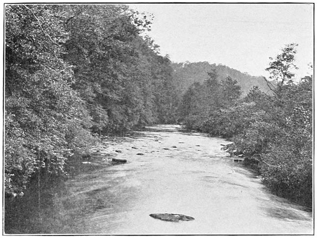 French Broad River.