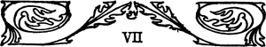 VII