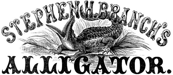 STEPHEN H. BRANCH’S ALLIGATOR.