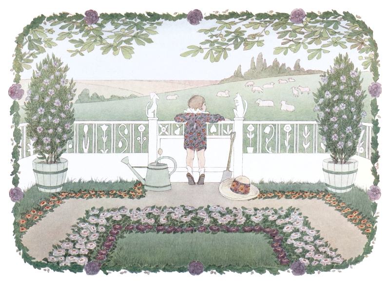 Boy looks over a fence at sheep.