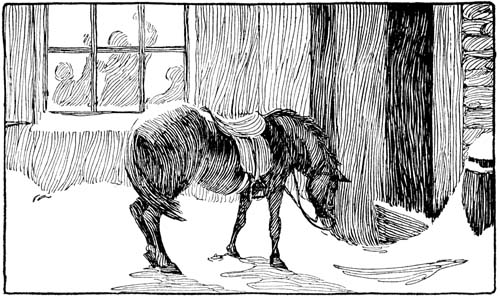 Suppose this Horse Takes Cold and Suffers and Dies--Who is to Blame?