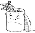 Flies are the Collectors I Mean