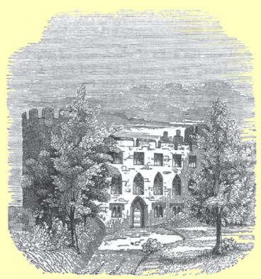 Laura’s Tower