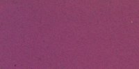 XI_65_i_Rood's_Violet