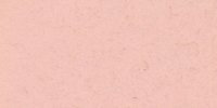 XIII_5′_f_Flesh_Pink