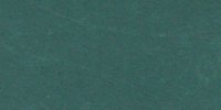 XIX_41′_m_Invisible_Green