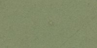 XLI_29′′′_i_Pois_Green