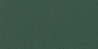 XLI_33′′′_m_Dull_Blackish_Green