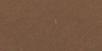 XV_13′_m_Mars_Brown