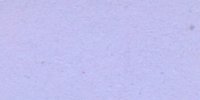 XXIII_57′_f_Pale_Wistaria_Blue