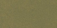 XXX_23′′_k_Yellowish_Olive