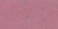XXXVIII_71′′___Hellebore_Red