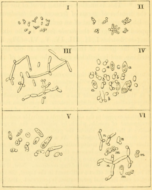 Fig. 12.