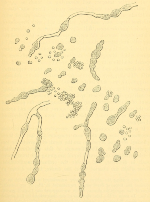 Fig. 20.