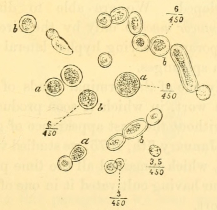 Fig. 23.