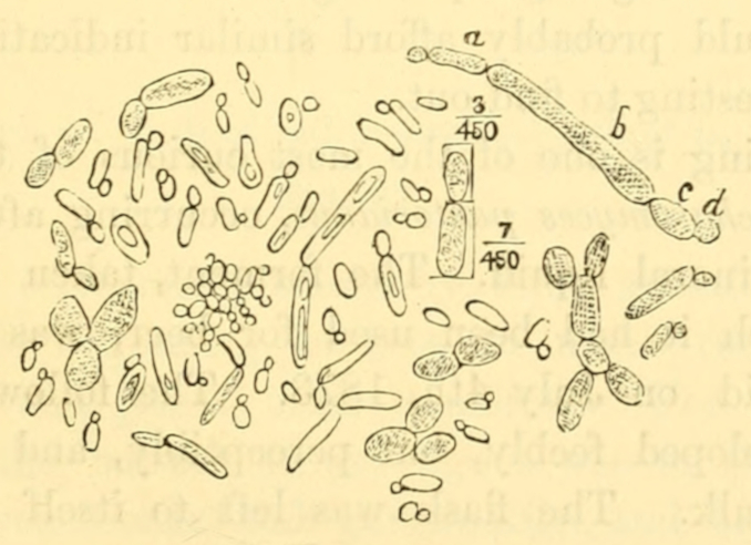 Fig. 36.