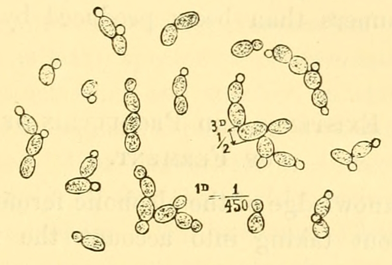 Fig. 42.