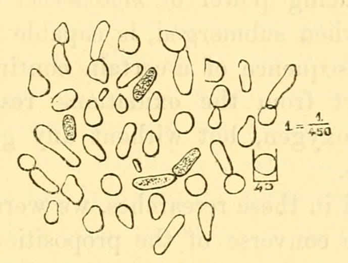 Fig. 48.