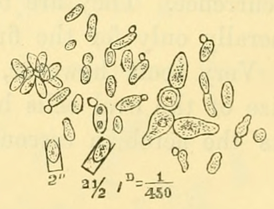 Fig. 54.