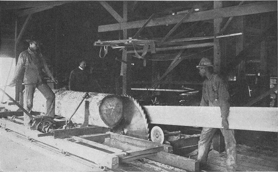 IN THE SCHOOL'S SAWMILL