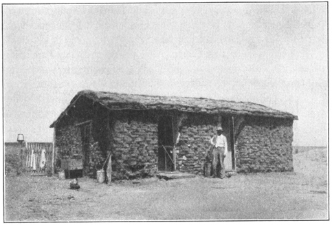 Illustration: Sod House